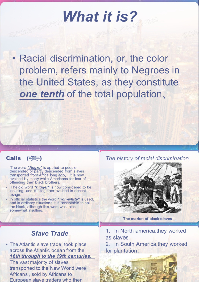 美国种族歧视 PPT