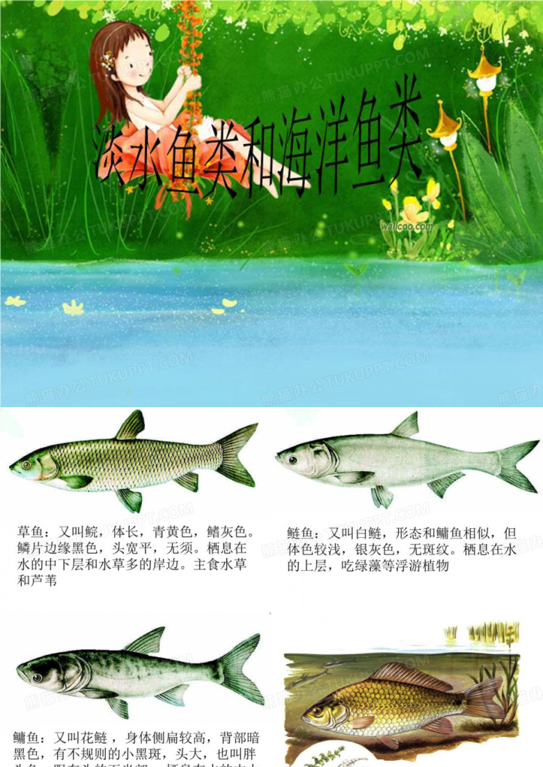 淡水鱼类和海洋鱼类