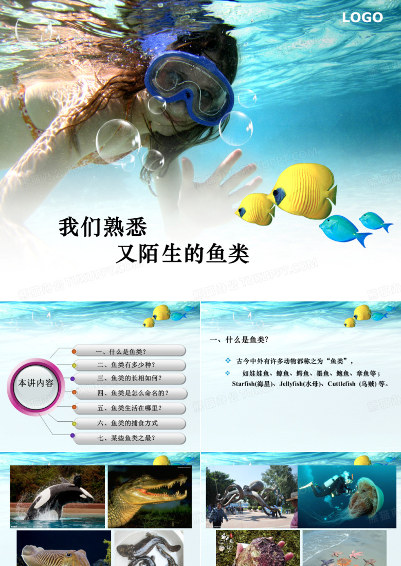 鱼类知识