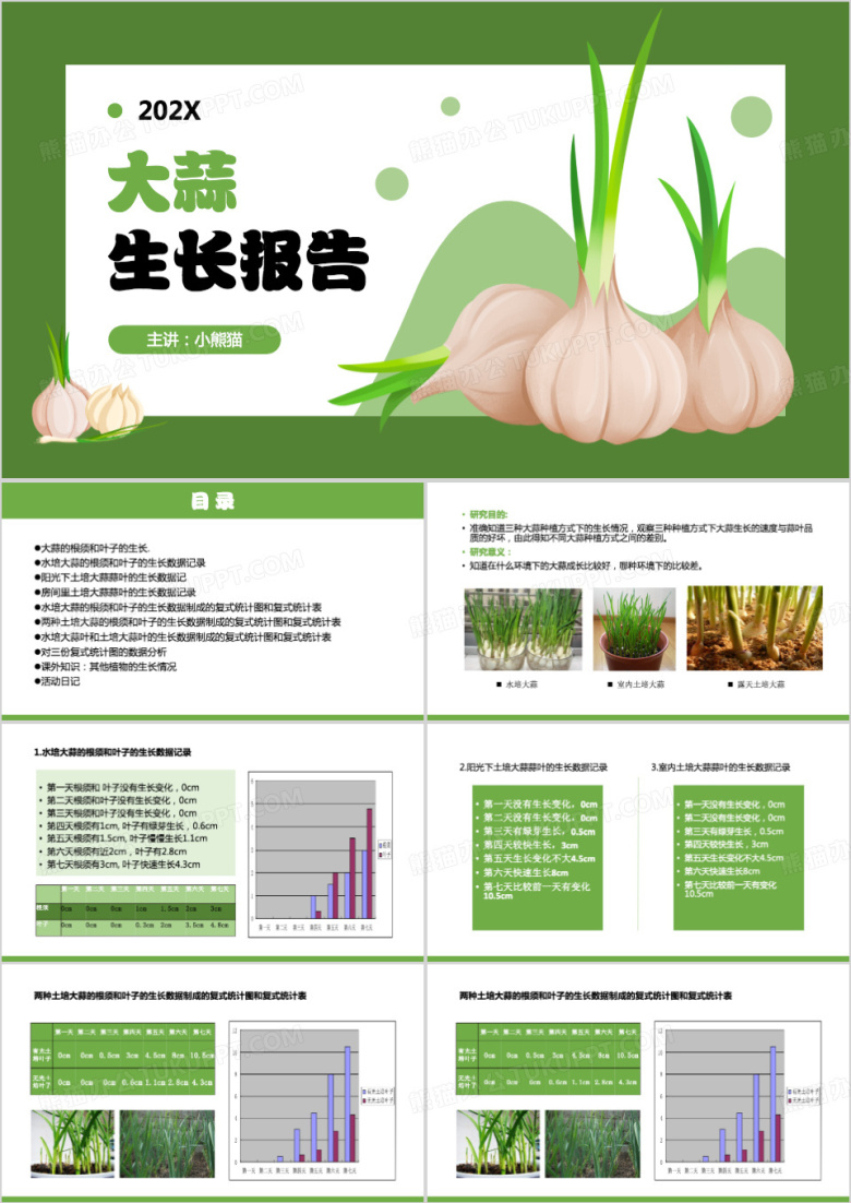 绿色大蒜生长报告PPT模板