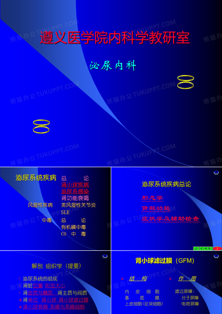 泌尿系统