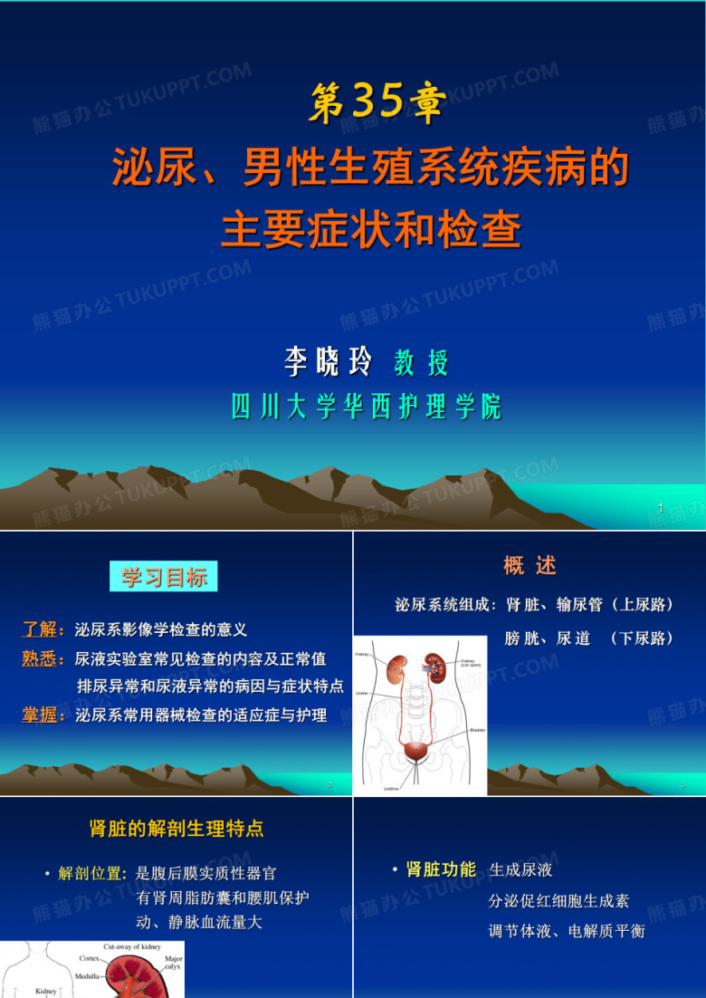 泌尿系统