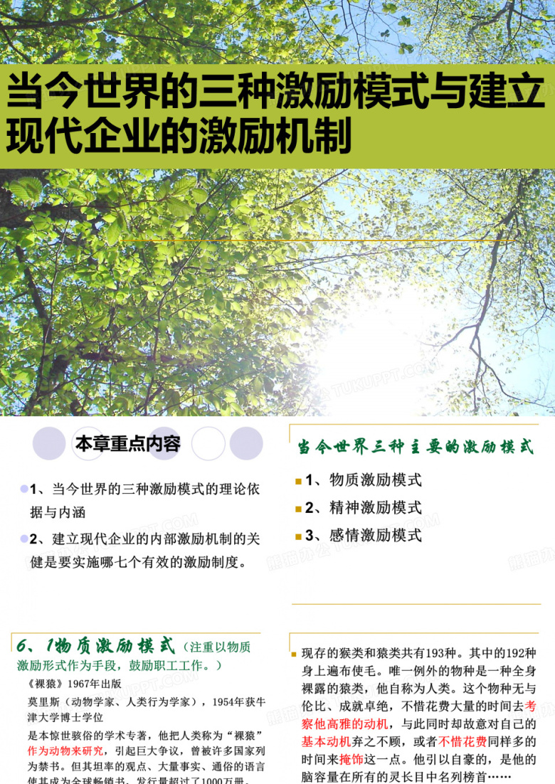 经典实用有价值的企业管理培训课件：当今世界的三种激励模式与建立现代企业的激励机制1