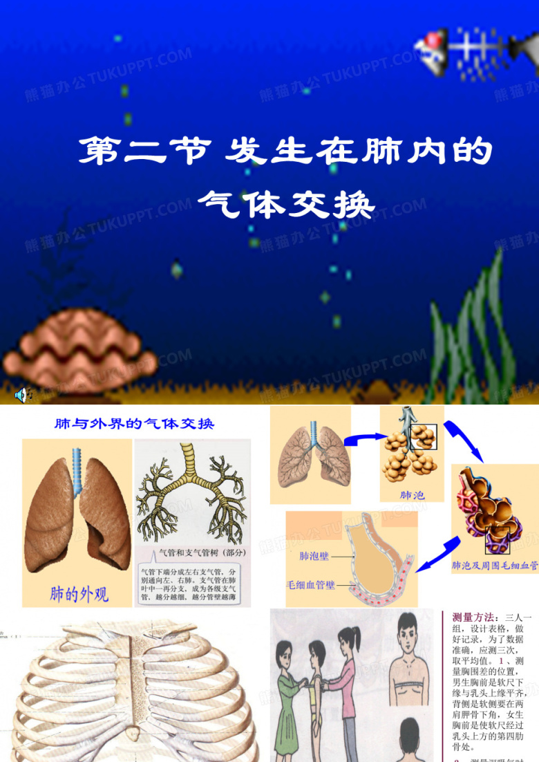 人教版七年级下册第三章第二节发生在肺内的气体交换(共16张PPT)