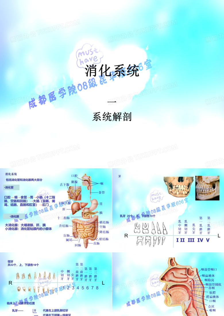 消化系统