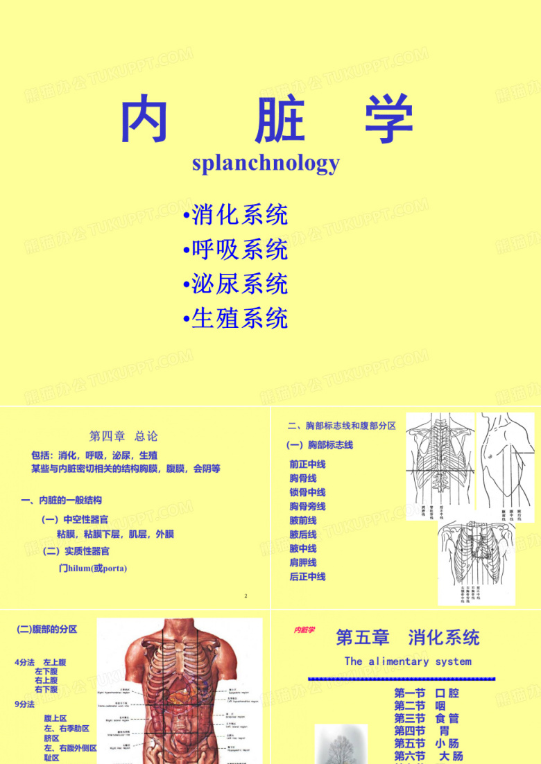 消化系统