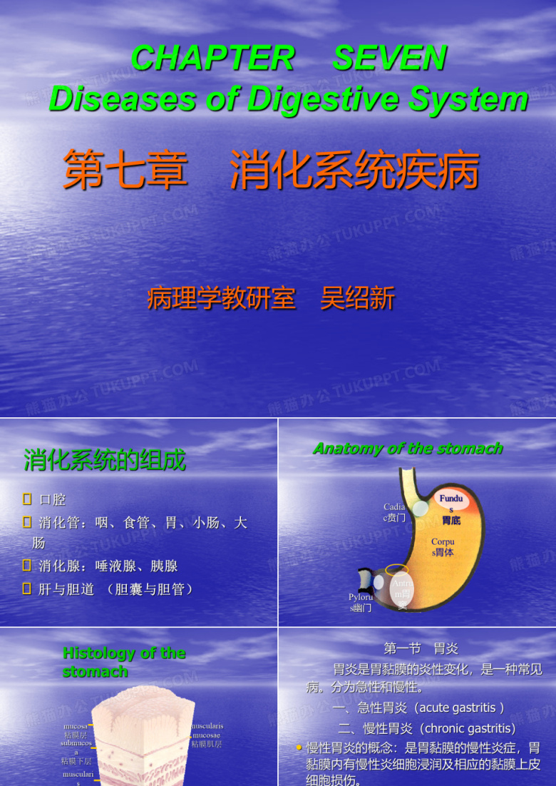 消化系统