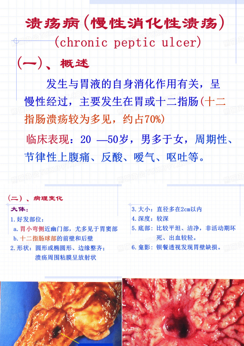 消化系统