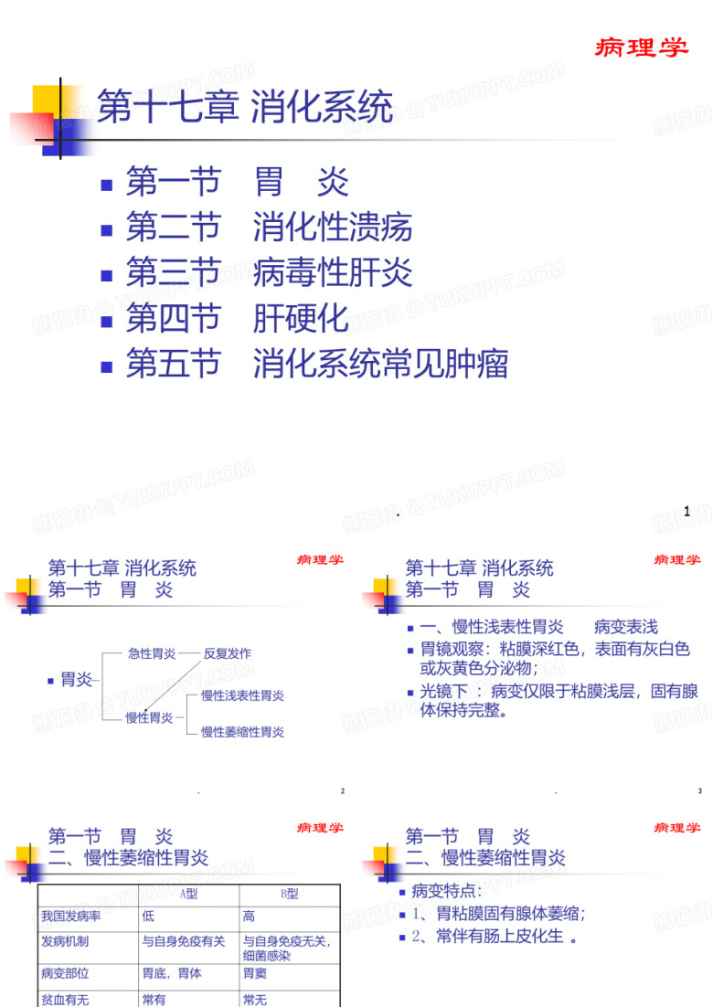消化系统