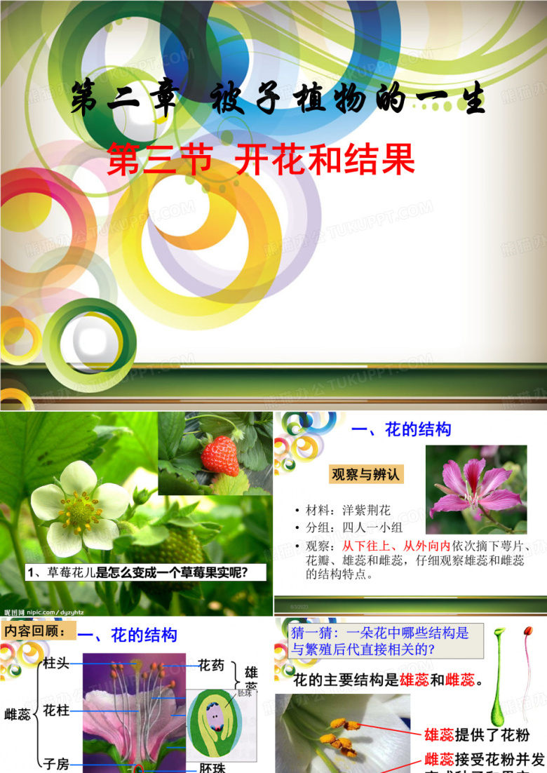 人教版七上第三单元第二章第三节开花和结果(共28张PPT)(001)