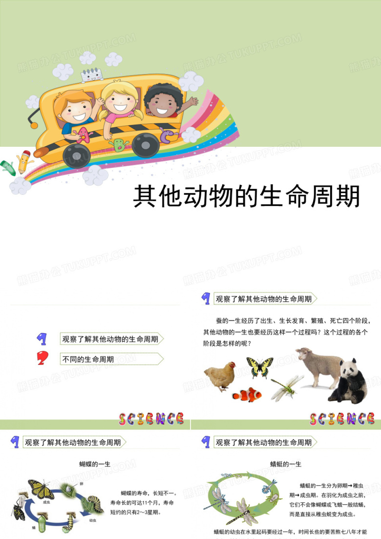 《其他动物的生命周期》动物的生命周期PPT