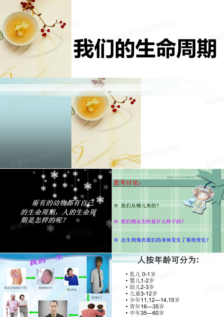 《我们的生命周期》动物的生命周期PPT课件