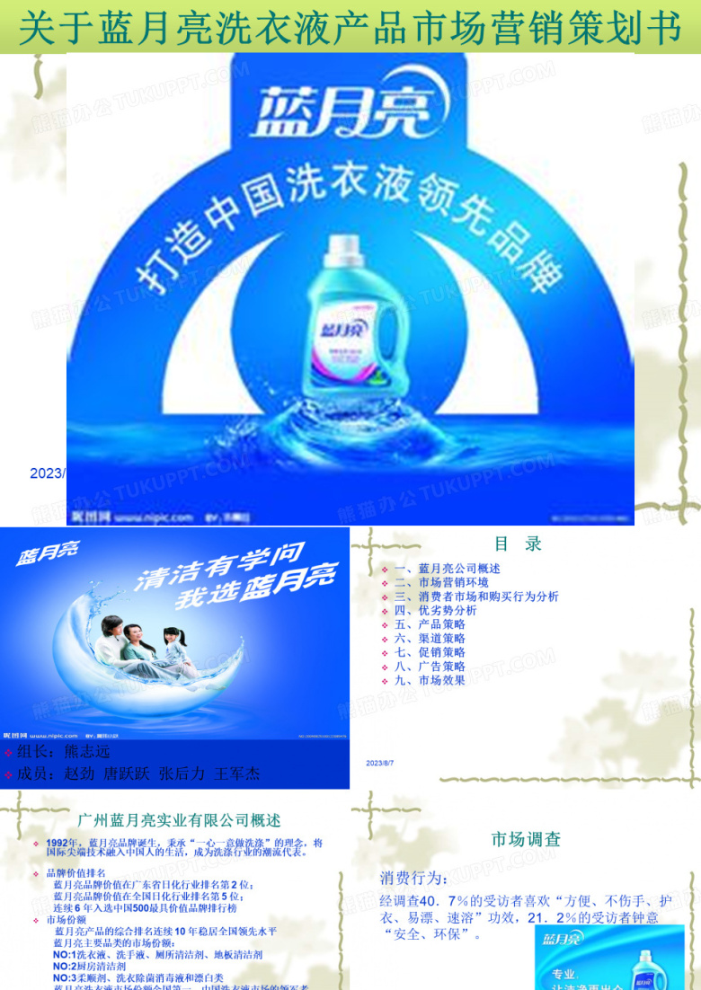 蓝月亮市场营销策划书PPT..