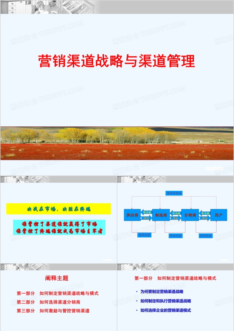 营销渠道战略与渠道管理