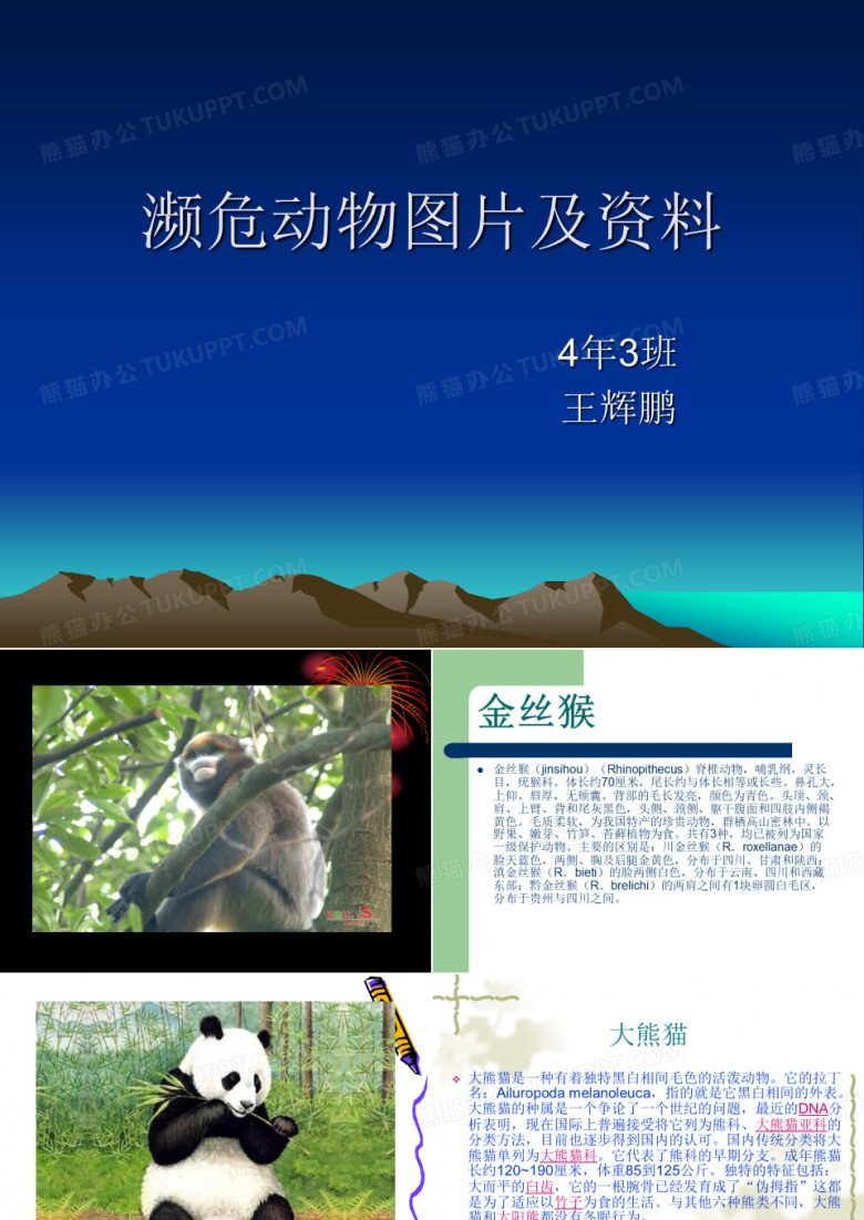濒危动物图片及资料