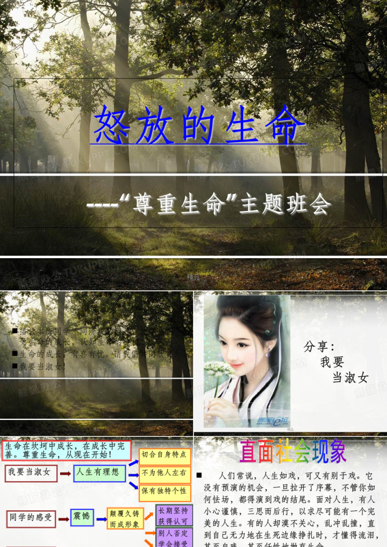 怒放的生命-&ldquo;尊重生命&rdquo;主题班会