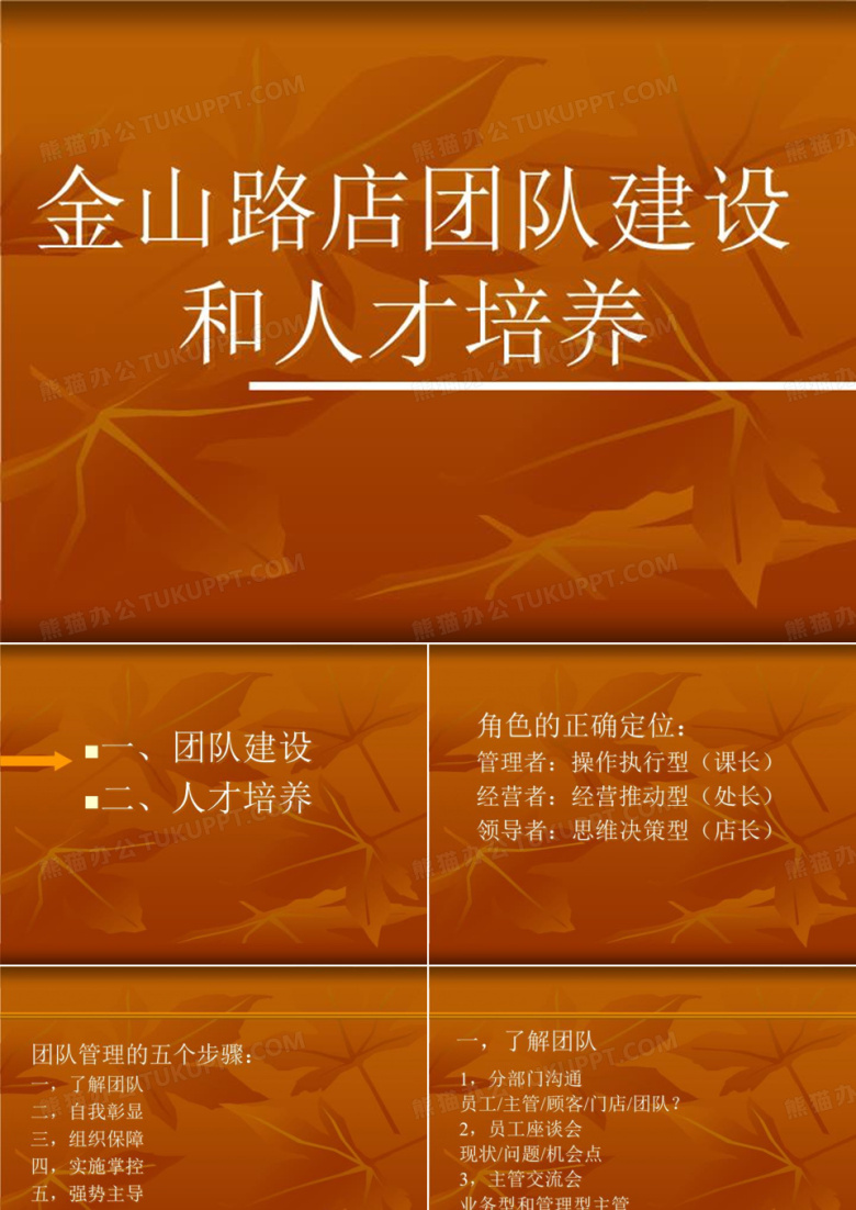 团队建设和人才培养(精选)