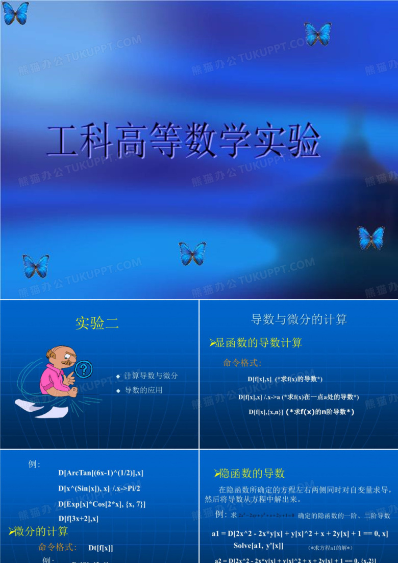 工科高等数学实验