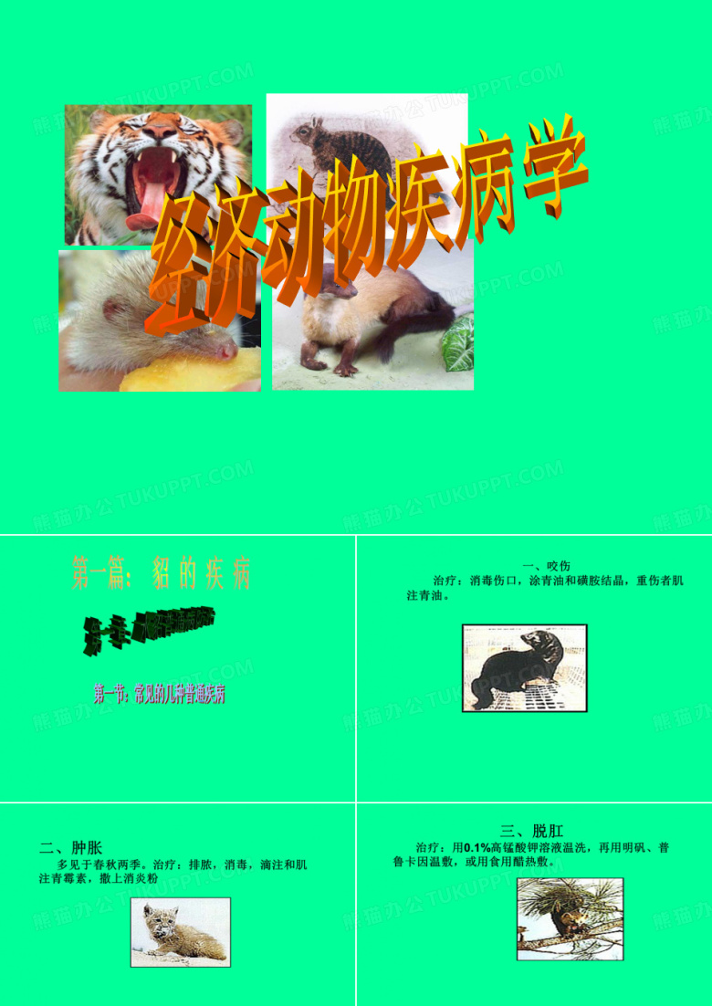 动物医学课件：经济动物疾病学