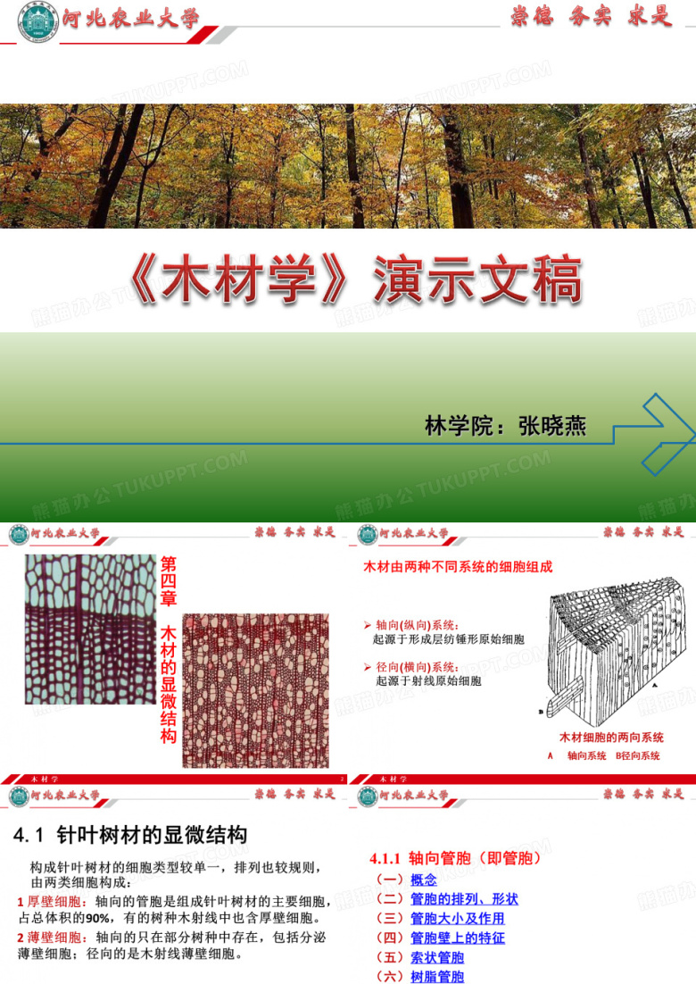 木质材料学5