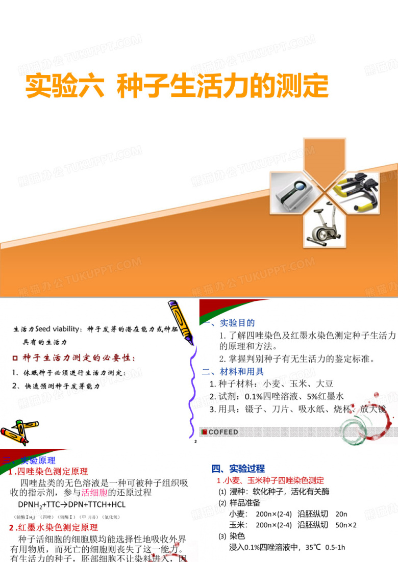 种子生活力的测定
