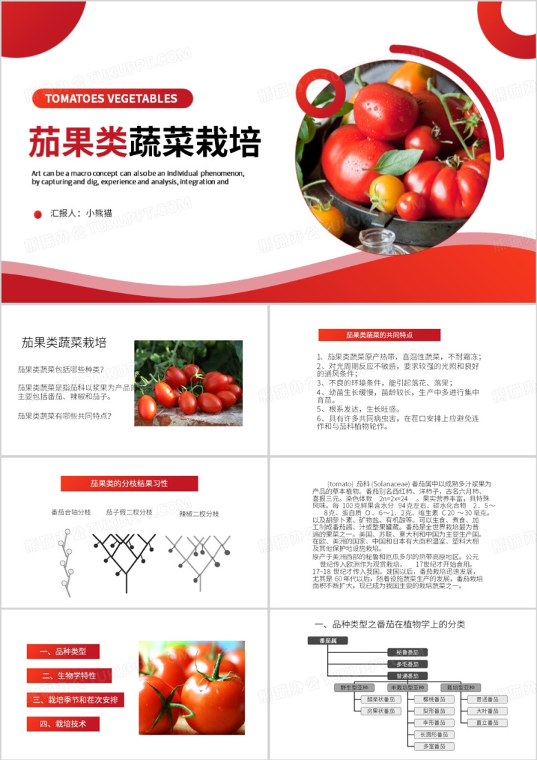 红色简约风茄果类蔬菜栽培PPT模板