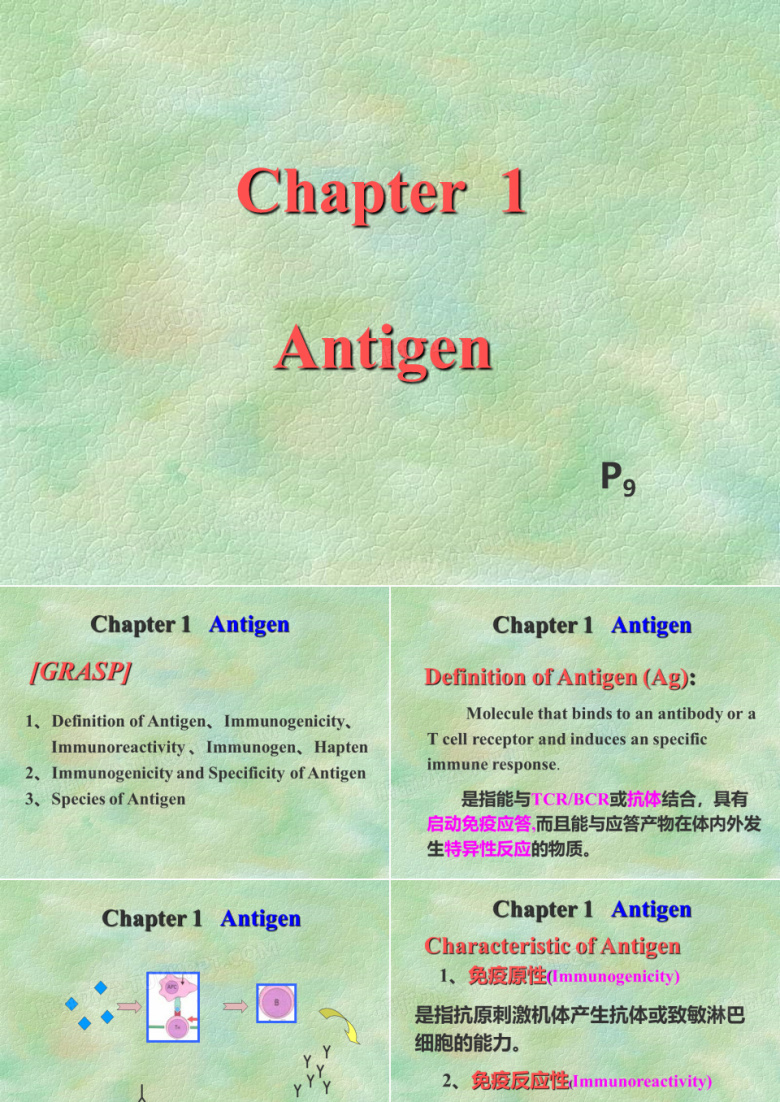 最新【医学免疫学课件】抗原-药学医学精品资料