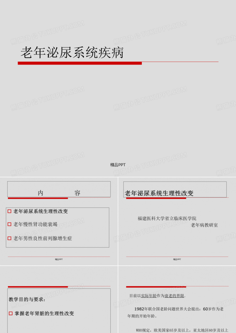 老年泌尿系统疾病