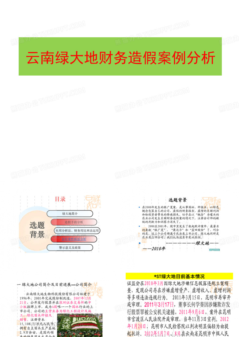 云南绿大地财务造假案例分析