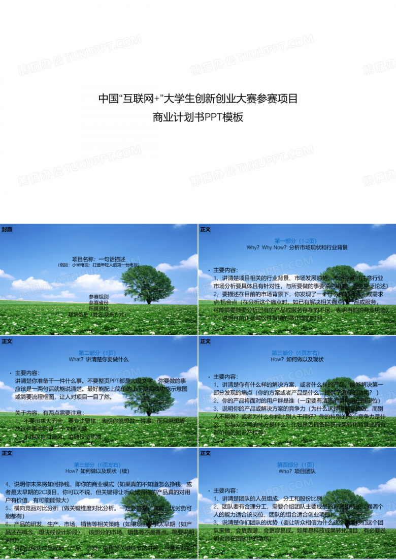 互联网+大赛项目商业计划书PPT模板.ppt