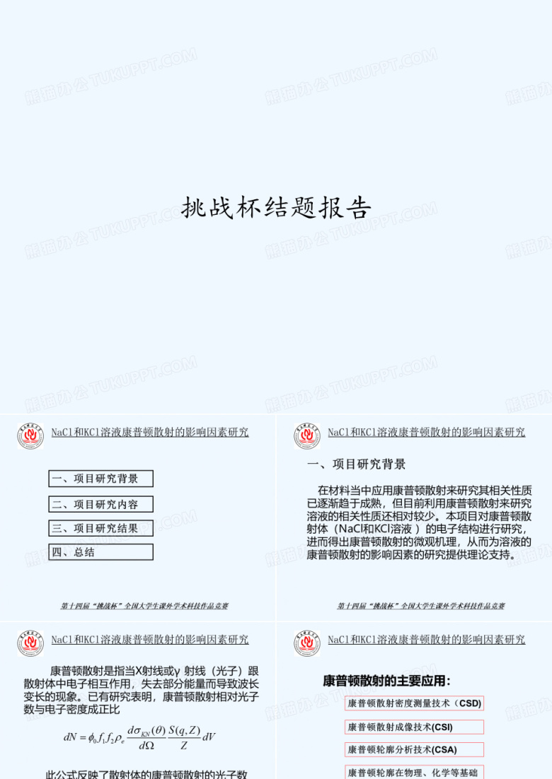 挑战杯结题报告 PPT