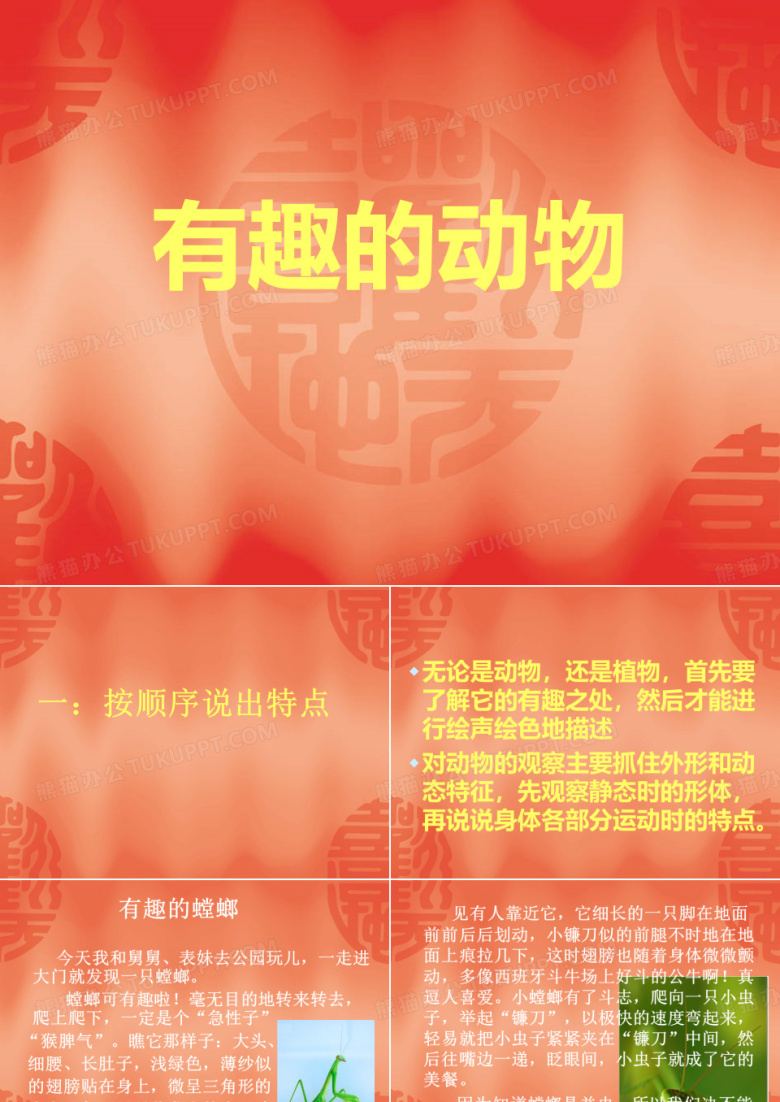 有趣的动物