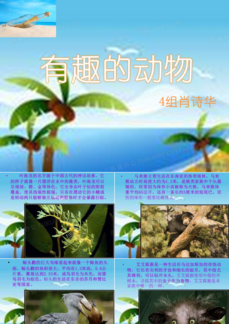 有趣的动物2