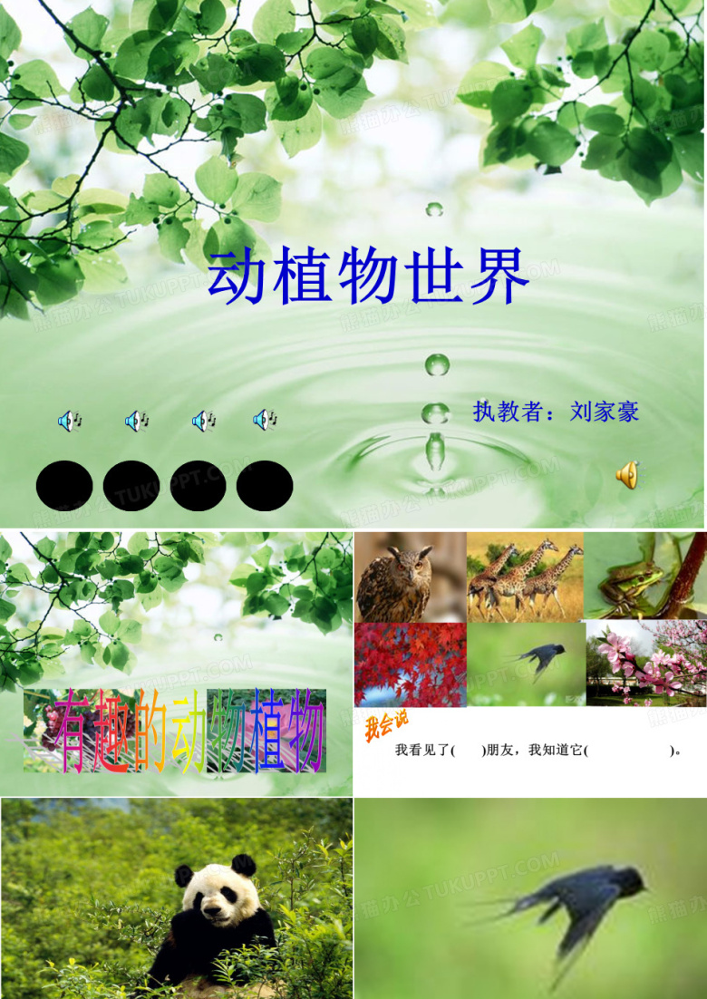 有趣的动物植物