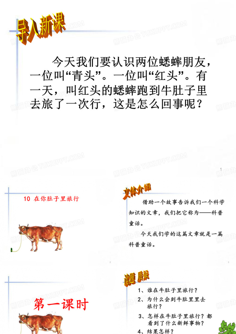 在牛肚子里旅行 