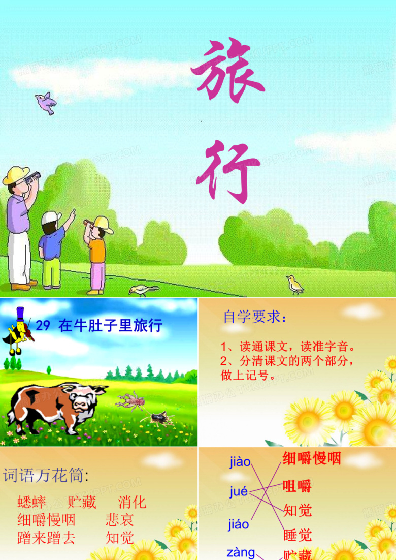 牛肚子里的旅行