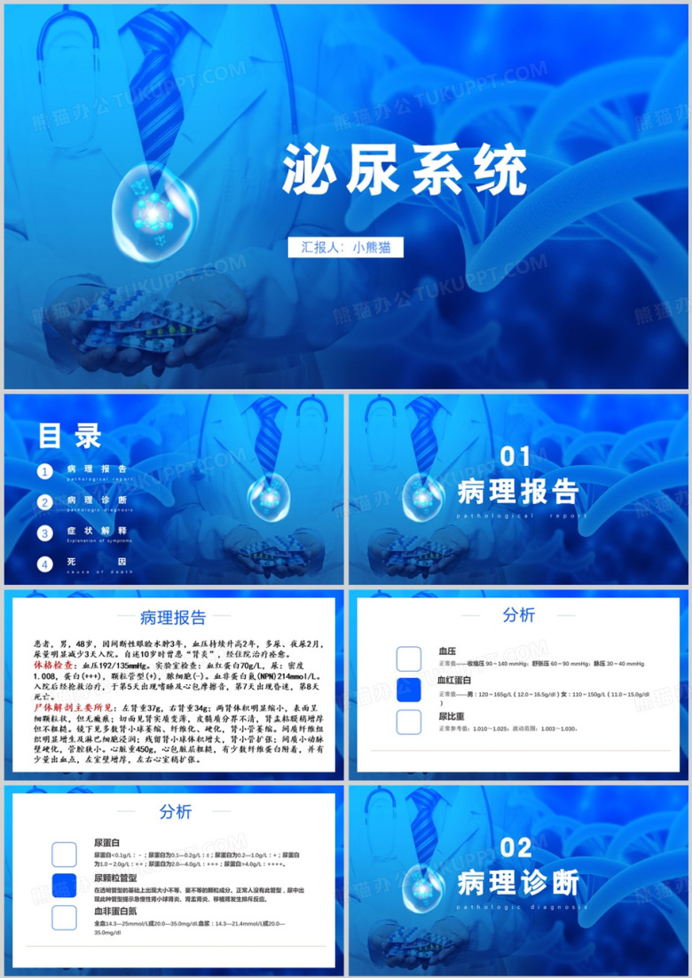 泌尿系统病理报告诊断PPT模板