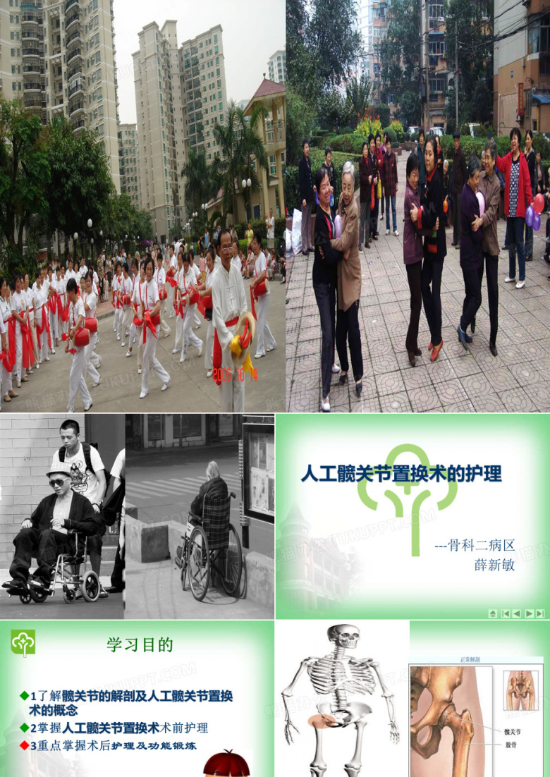 髋关节置换术护理