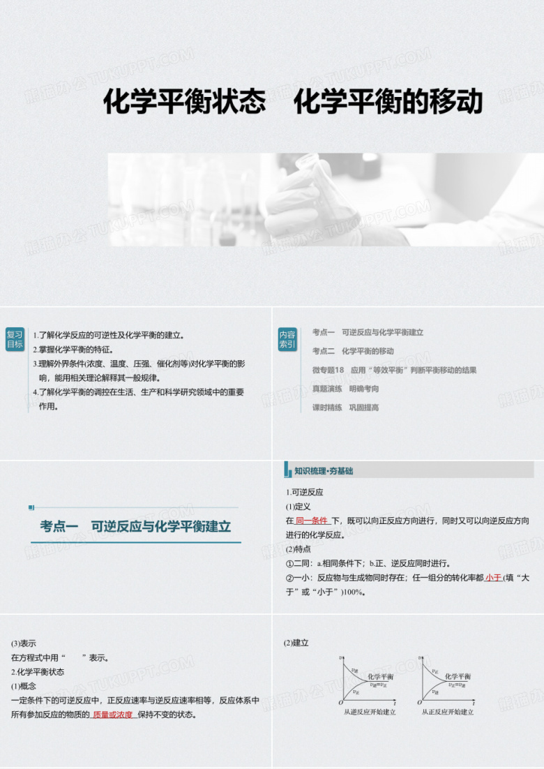 化学平衡状态 化学平衡的移动