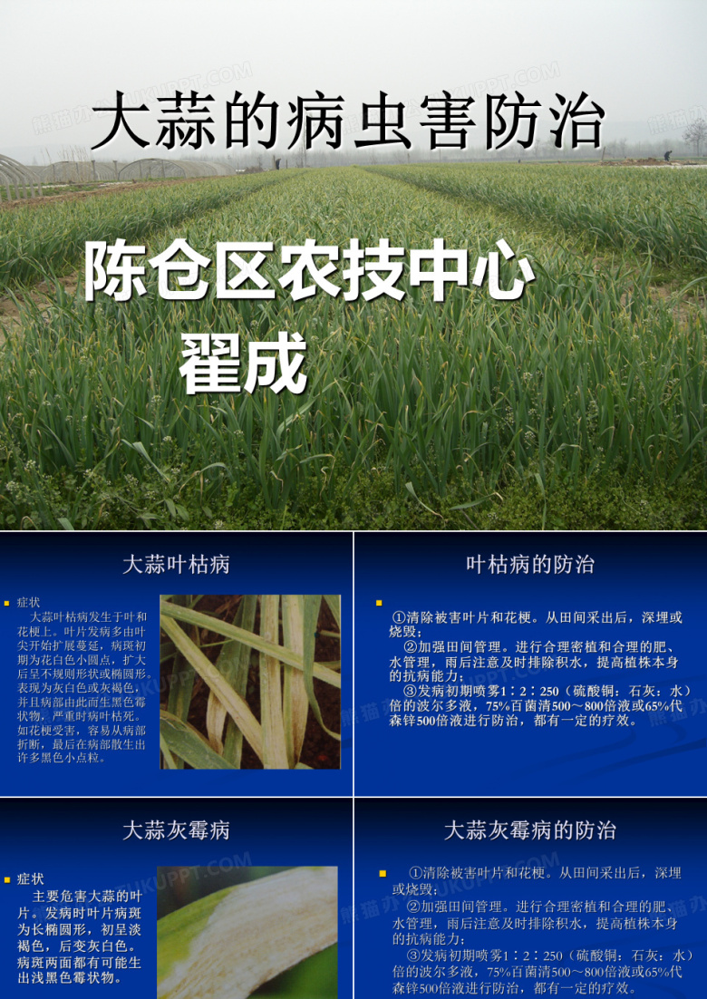 大蒜的病虫害防治