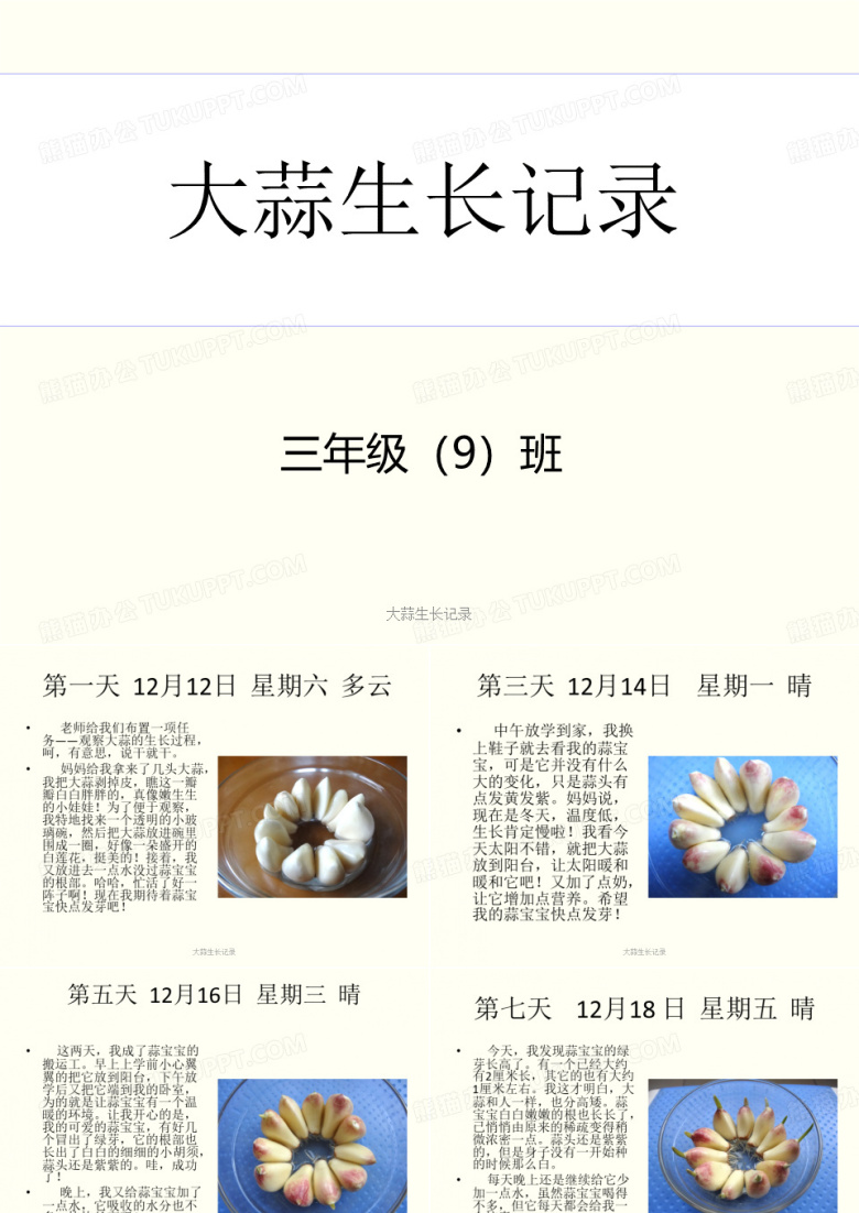 大蒜生长记录