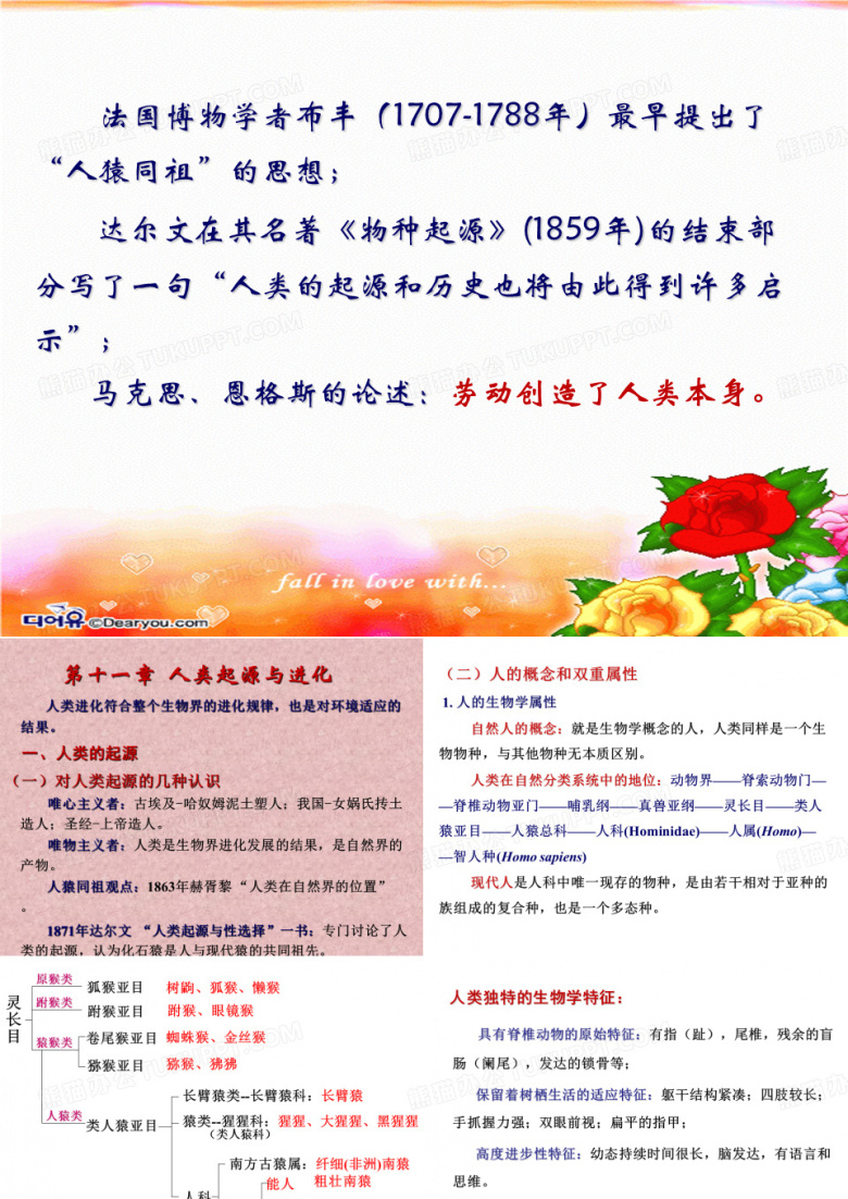 进化11-人类起源进化