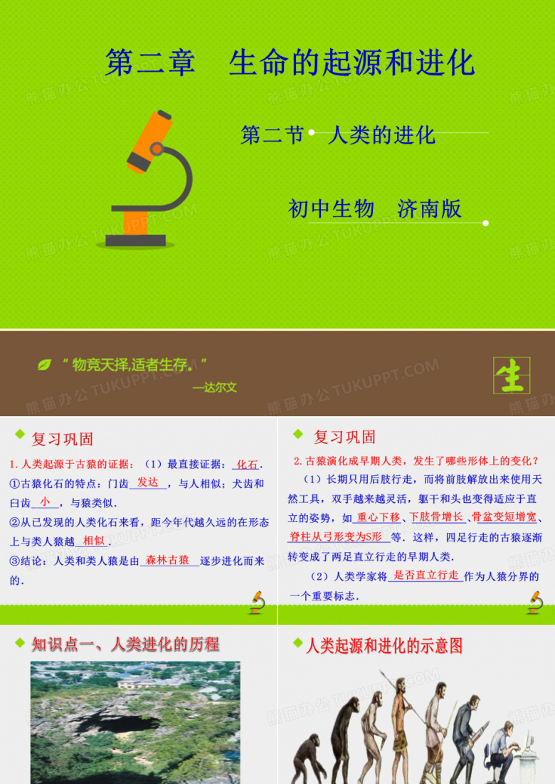《人类的进化》课件