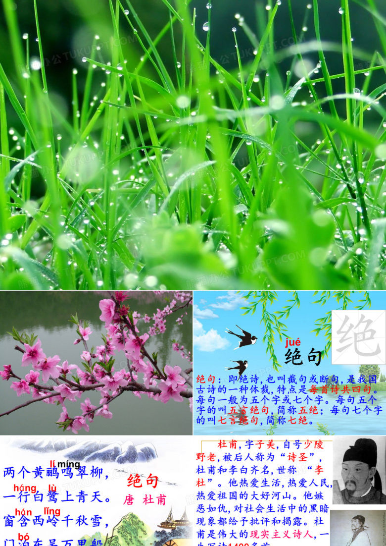 部编版二年级下册语文课件15 古诗两首《绝句》 (共14张PPT)