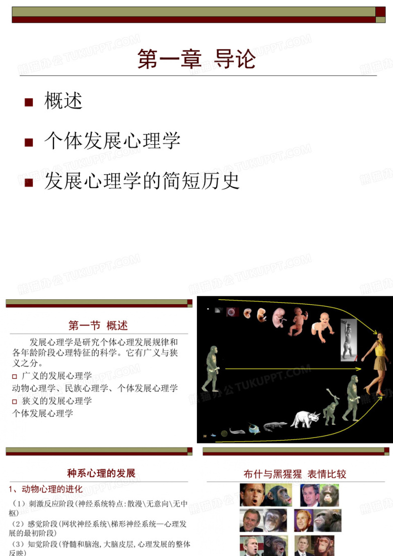 发展与教育心理学专题精品PPT课件