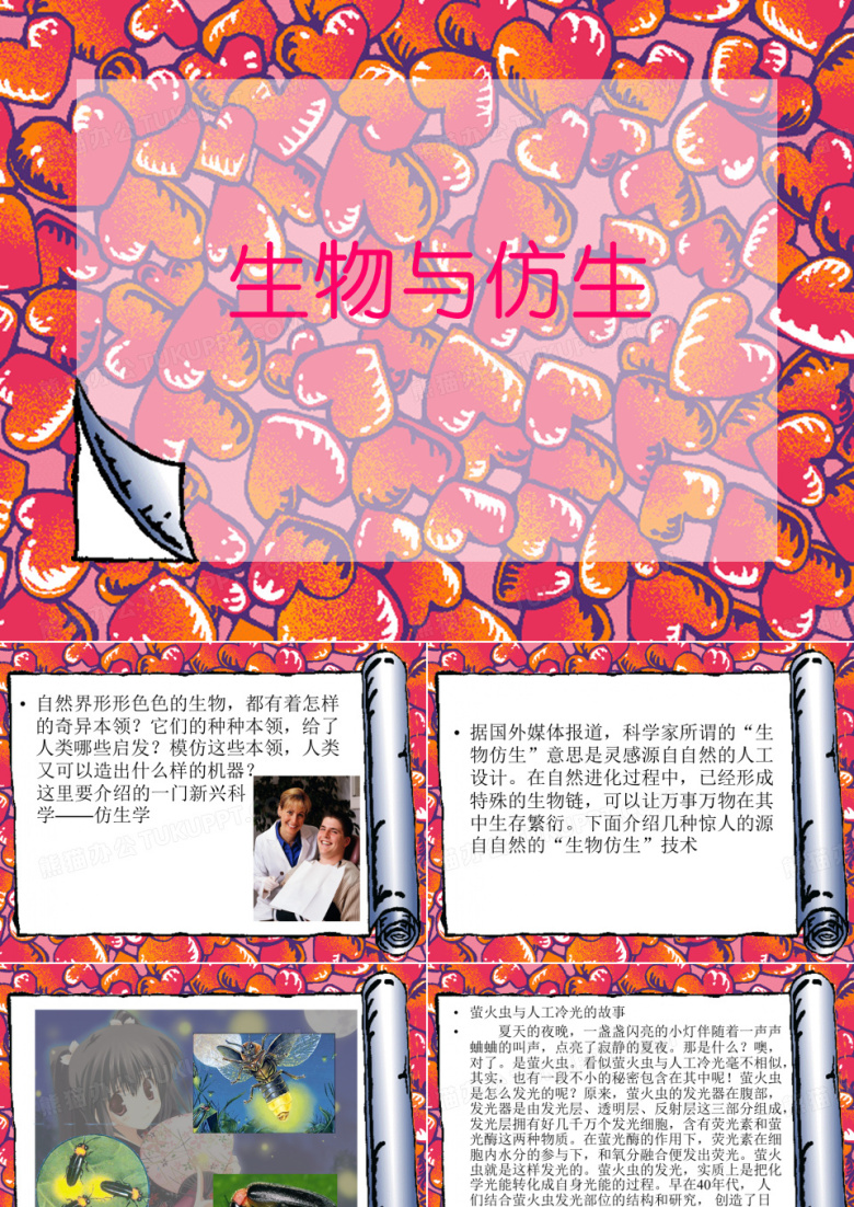 生物与仿生