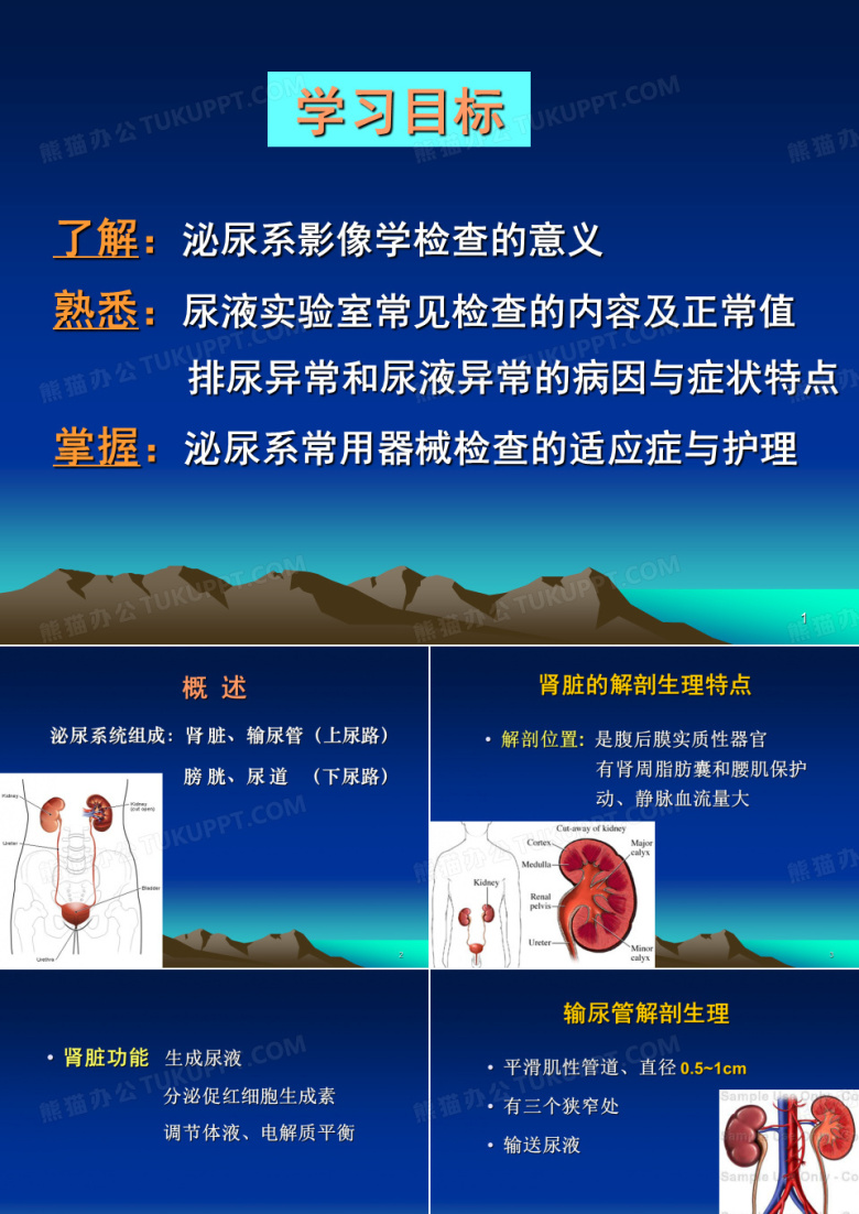 泌尿系全部