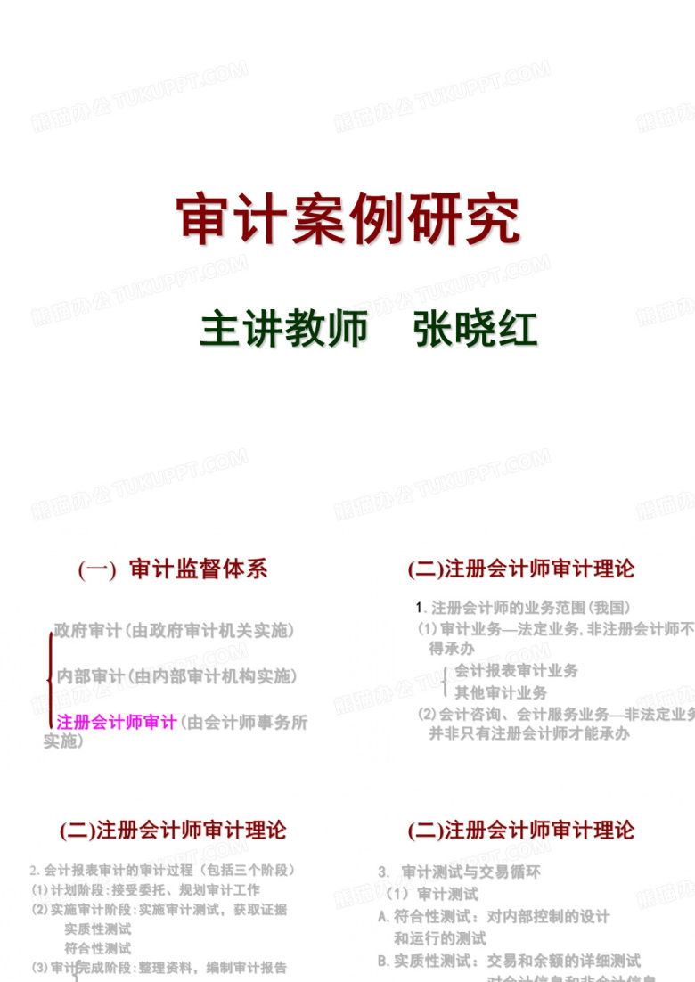 审计案例研究
