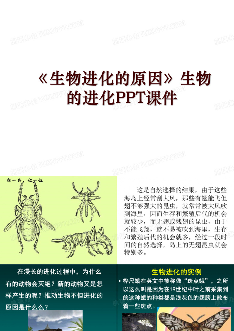 《生物进化的原因》生物的进化PPT课件