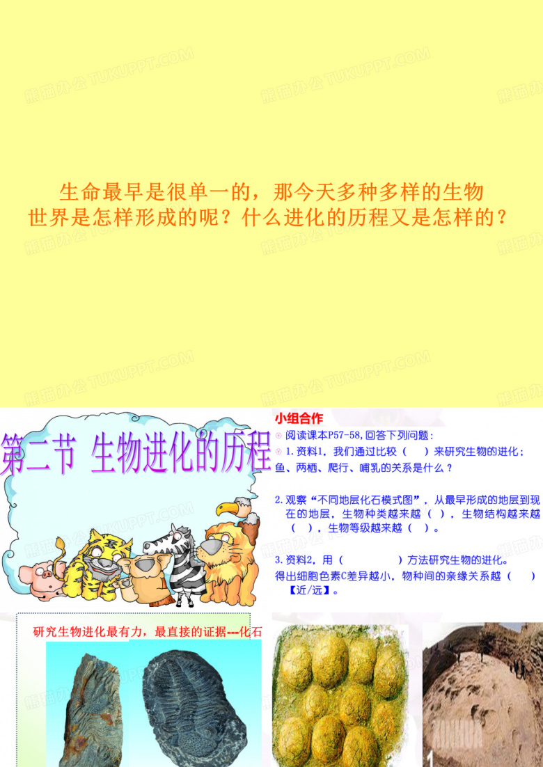 生物进化的历程和生物进化的原因